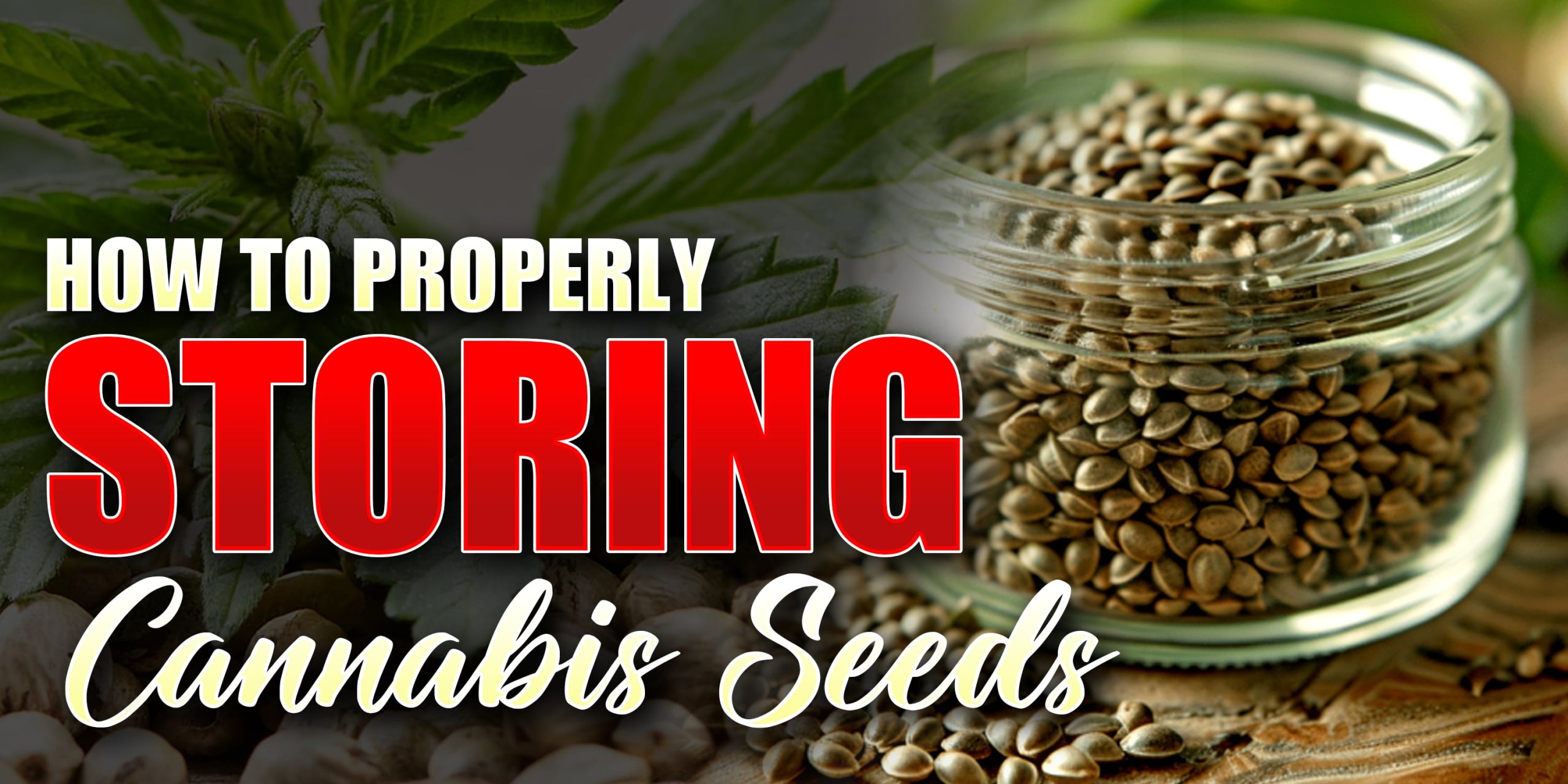 how to store cannabis seeds