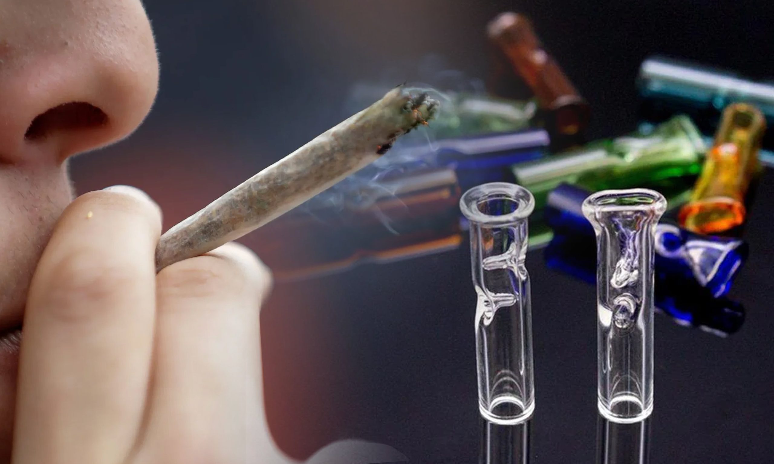 The Benefits Of Filtering Your Joints For A Smoother Smoking Experience Pic Glass Tips Min Scaled, Crop King Seeds