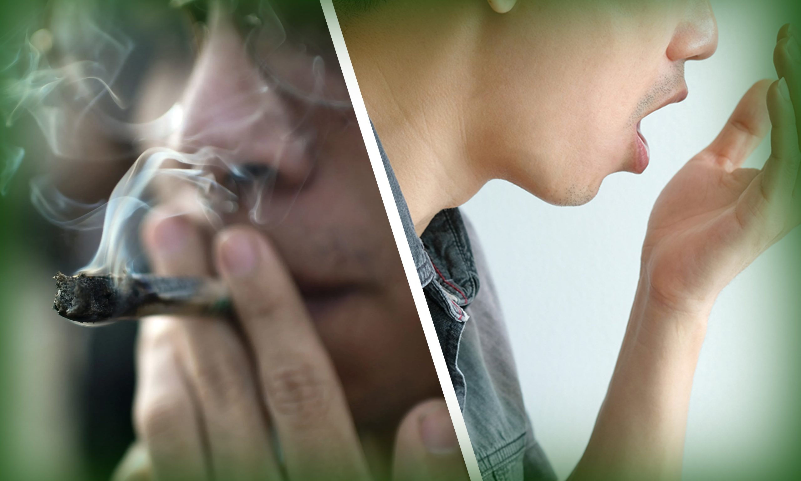 Weed Breath And Effective Prevention Techniques Pic Does Smoking Weed Cause Bad Breath Min Scaled, Crop King Seeds