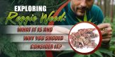 Exploring Reggie Weed: What It Is and Why You Should Consider It