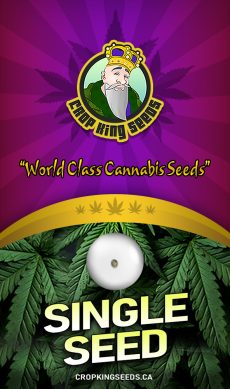 Single Seed