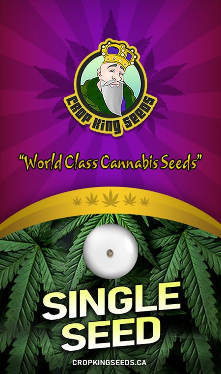 Single Seed