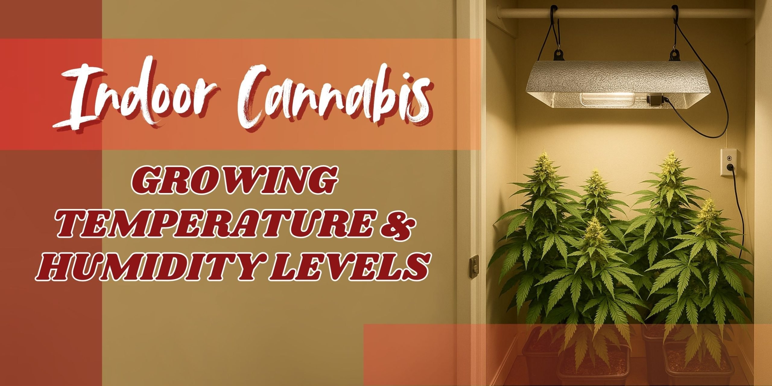 Indoor Cannabis Growing Temperature and Humidity Levels
