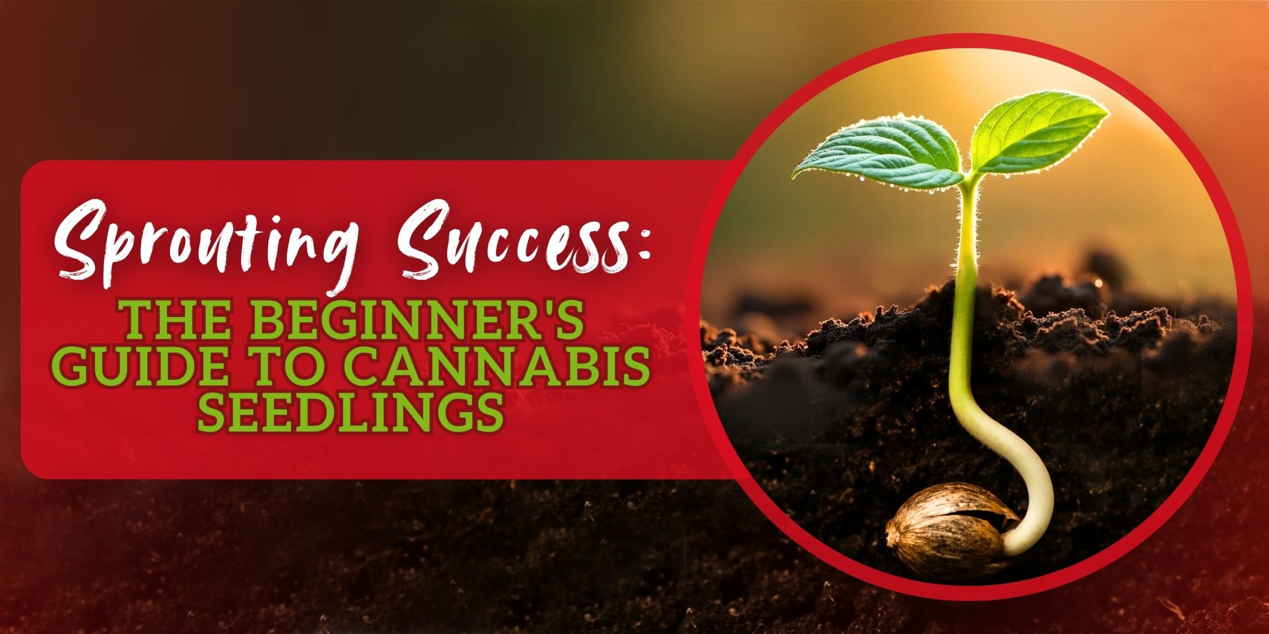 Sprouting Success_ The Beginner_s Guide to Cannabis Seedlings