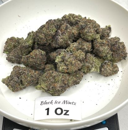 Black Ice Mintz Flower