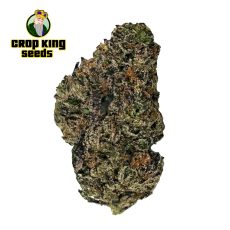 Black Ice Mintz Weed Flower