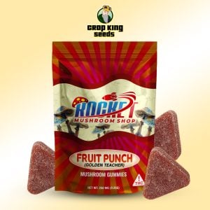 Magic Mushroom Golden Teacher Fruit Punch Gummies