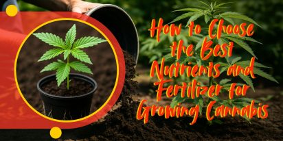 How To Choose The Best Nutrients And Fertilizer For Growing Cannabis, Crop King Seeds