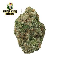 Lemon Cherry Gelato Weed Flower