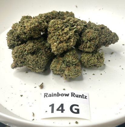 Rainbow-runts-14g