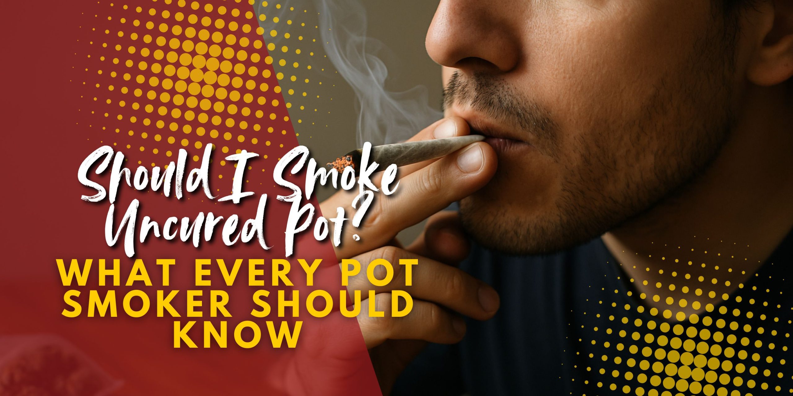 Should I Smoke Uncured Pot_ What Every Pot Smoker Should Know