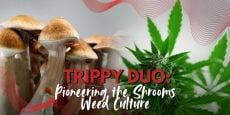 Trippy Duo_ Pioneering the Shrooms Weed Culture