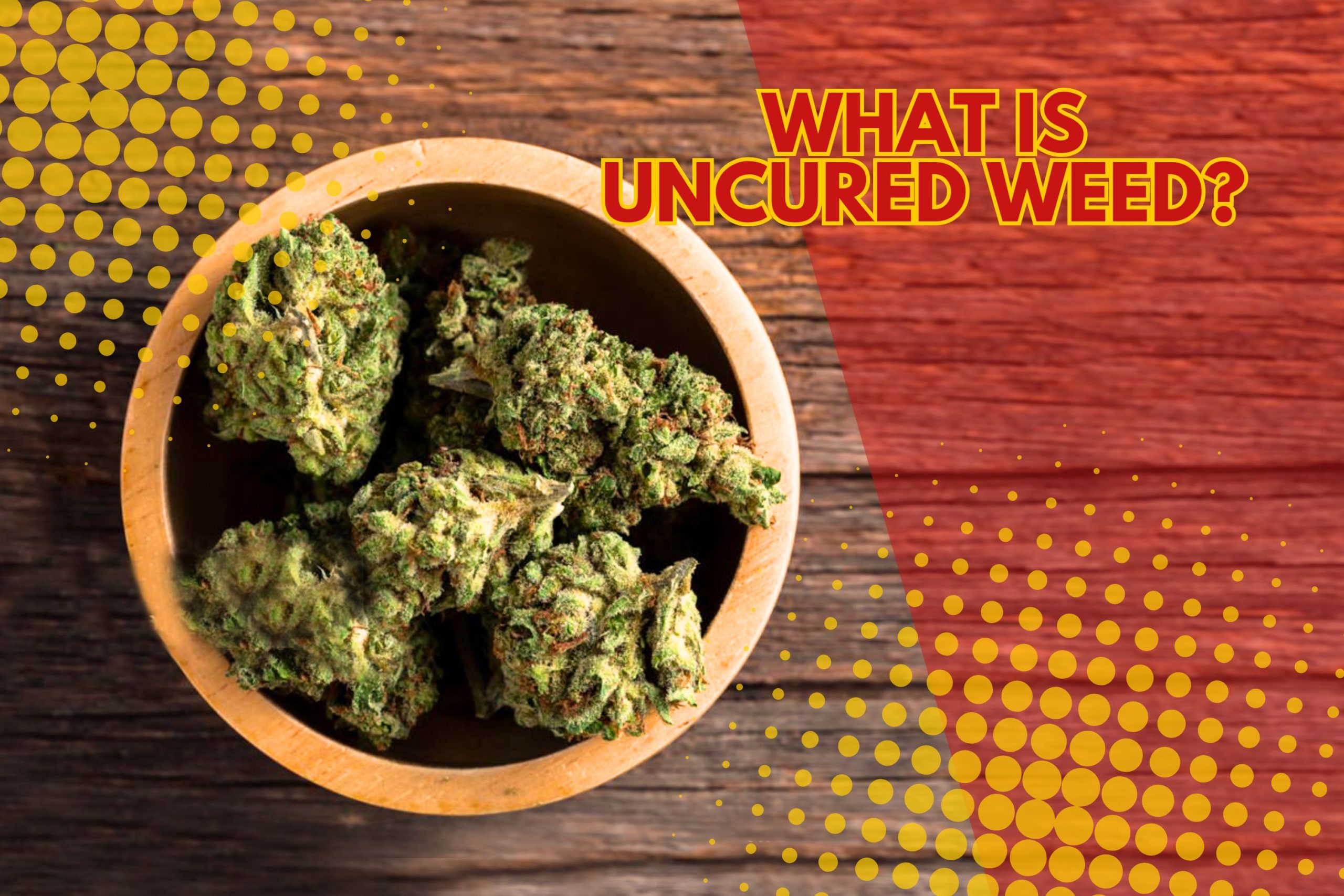 What Is Uncured Weed  Scaled, Crop King Seeds