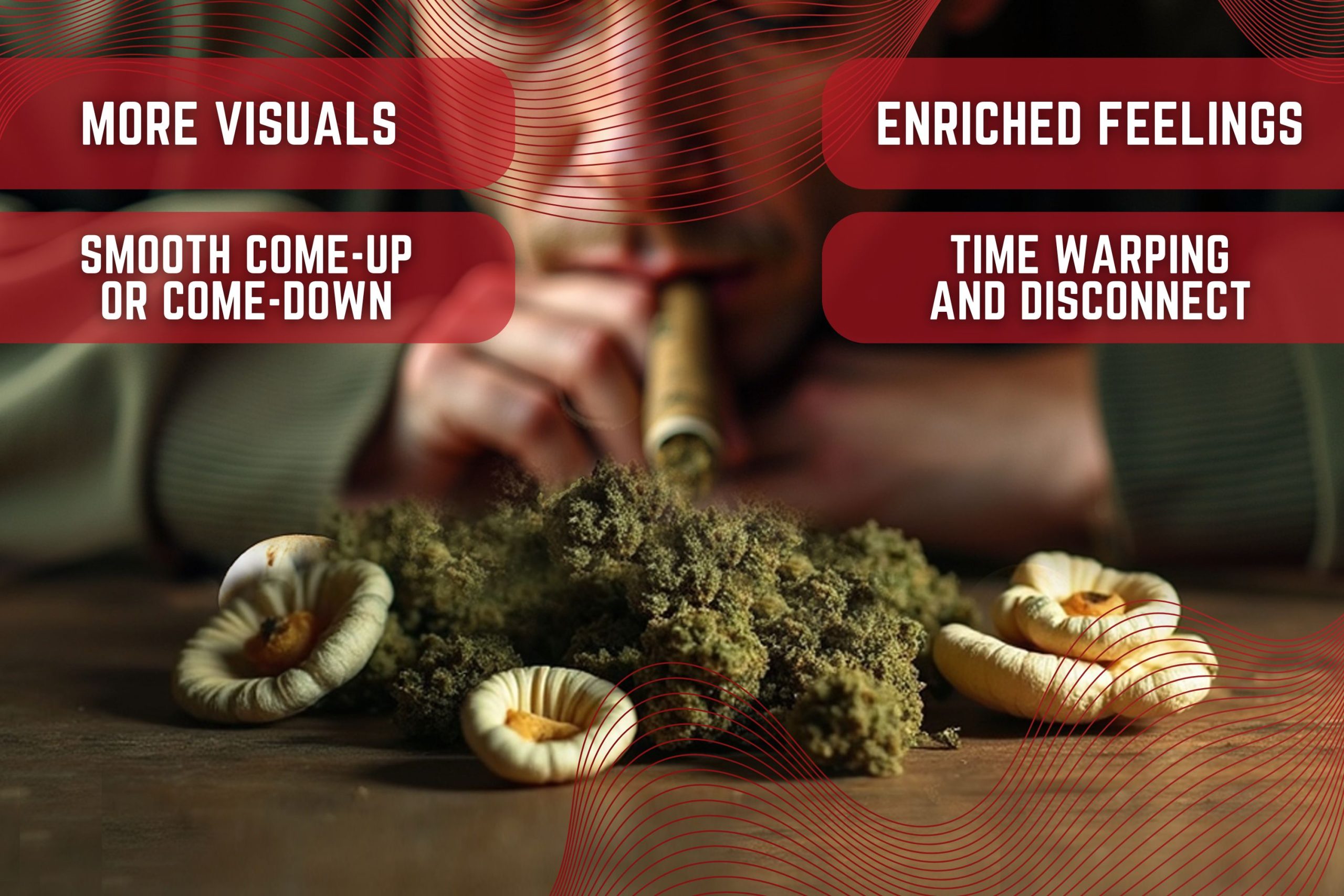 What S It Like To Smoke Weed And Shrooms Combined  Scaled, Crop King Seeds