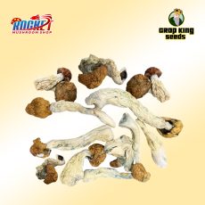 Blue Meanie Raw Mushrooms